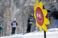 Esqui de meio dia com instrutor no Vogel Ski Center - Housity