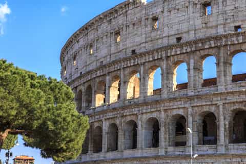 Rome: Colosseum, Forum and Palatine Hill Private Tour