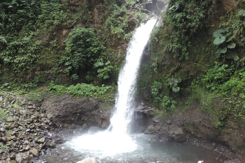 San José: Arenal Volcano, Waterfalls, Coffee and Hot Springs From San Jose: Arenal Volcano Full-Day Tour