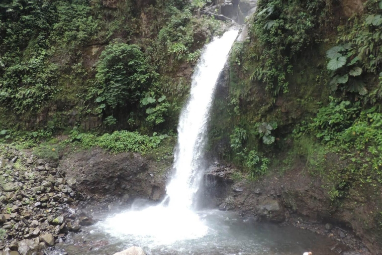 San José: Arenal Volcano, Waterfalls, Coffee and Hot Springs From San Jose: Arenal Volcano Full-Day Tour