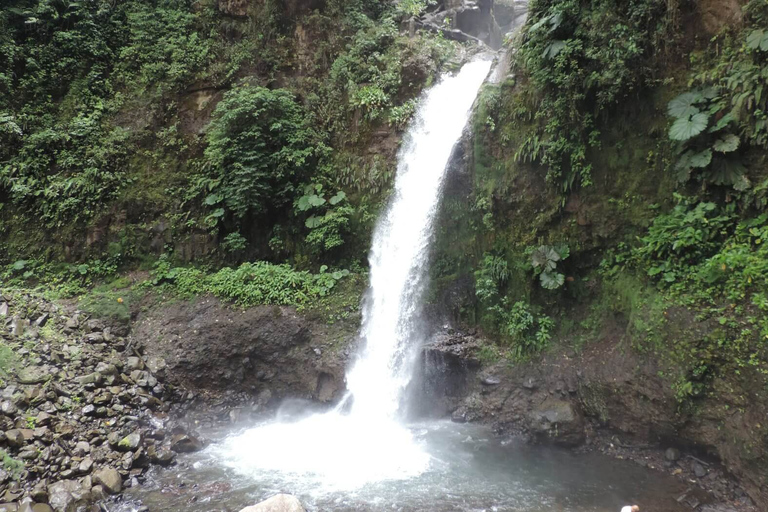 San José: Arenal Volcano, Waterfalls, Coffee and Hot Springs From San Jose: Arenal Volcano Full-Day Tour