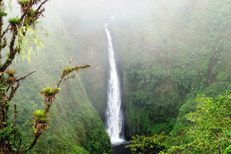 San José: Arenal Volcano, Waterfalls, Coffee and Hot Springs From San Jose: Arenal Volcano Full-Day Tour