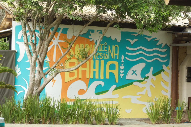 Bahia Surf Camp Day Pass with Surf Lesson & Meal included