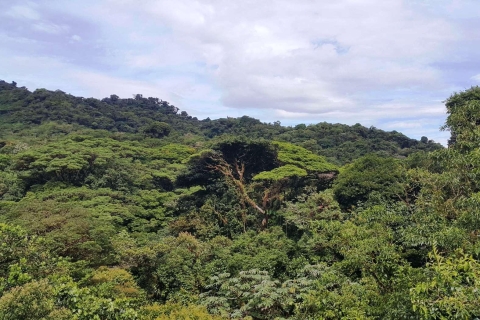 Od San José: Wycieczka do Mostu Wiszącego Monteverde