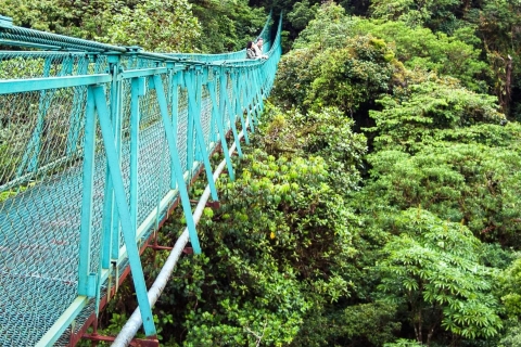 Od San José: Wycieczka do Mostu Wiszącego Monteverde