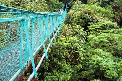 From San José: Monteverde Hanging Bridges Day Trip