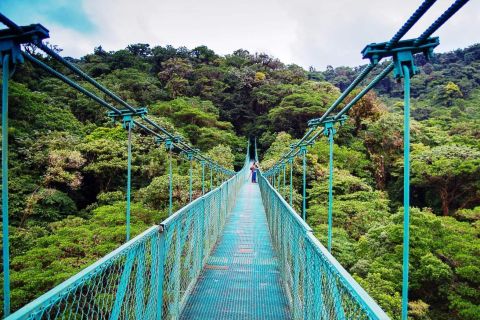 From San José: Monteverde Hanging Bridges Day Trip