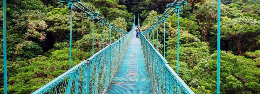The BEST Monteverde Tours and Things to Do in 2022 - FREE Cancellation ...