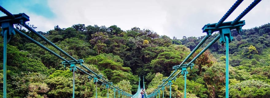 Depuis San José : Excursion d'une journée aux ponts suspendus de Monteverde