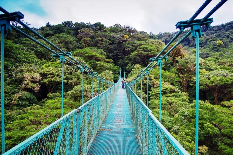 Vanuit San José: daguitstap hangbruggen Monteverde
