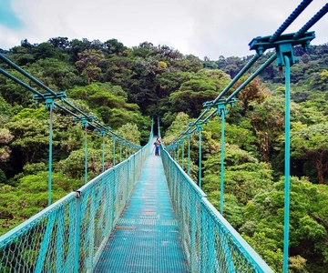From San José: Monteverde Hanging Bridges Day Trip