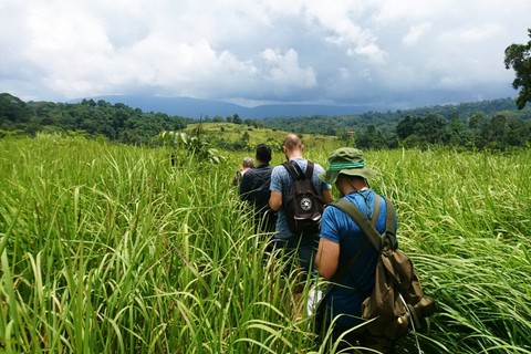 Khao Yai National Park Jungle Trekking Day Trip From Bangkok Khao Yai National Park Small-Group Tour