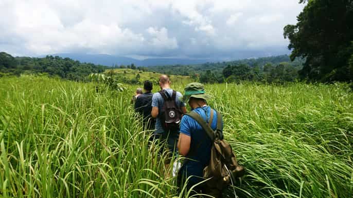 ab bangkok trekking tagestour durch khao yai nationalpark
