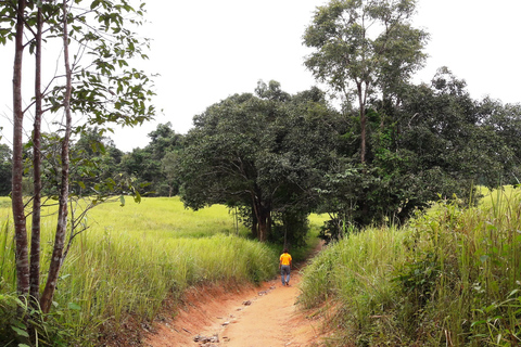 Khao Yai National Park Jungle Trekking Day Trip From Bangkok Khao Yai National Park Small-Group Tour