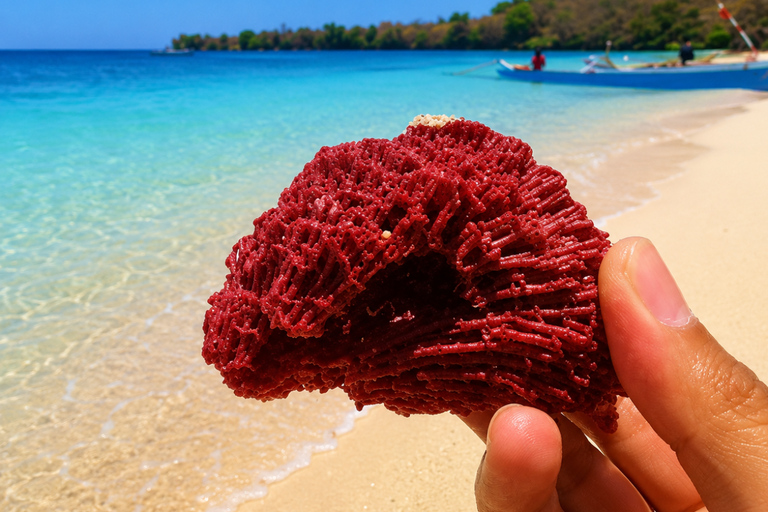 Lombok: Pink Beach & Gili Islands Private Snorkeling Tour