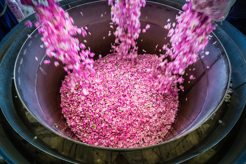 Da Sofia: tour di 1 giorno alla Festa delle Rose