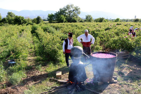 Van Sofia: Rose Festival-dagtourVanuit Sofia: dagtour naar het rozenfestival