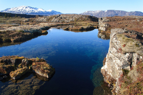 Da Reykjavik: Snorkeling a Silfra con foto subacqueeOpzione con muta stagna