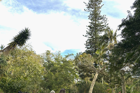 São Miguel: Botanical Gardens and Cave Tour