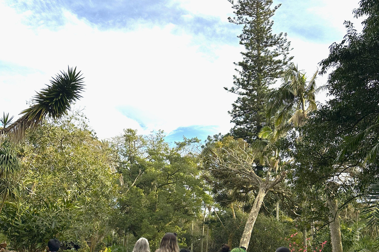 São Miguel: Botanical Gardens and Cave Tour