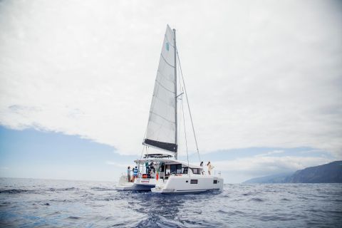 Funchal: dolfijnen & walvissen spotten vanaf luxe catamaran
