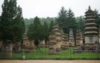 Luoyang Private Tagestour Longmen Grotten Shaolin Tempel - Hizvo