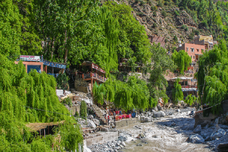 Ourika Valley Full-Day Trip from Marrakech