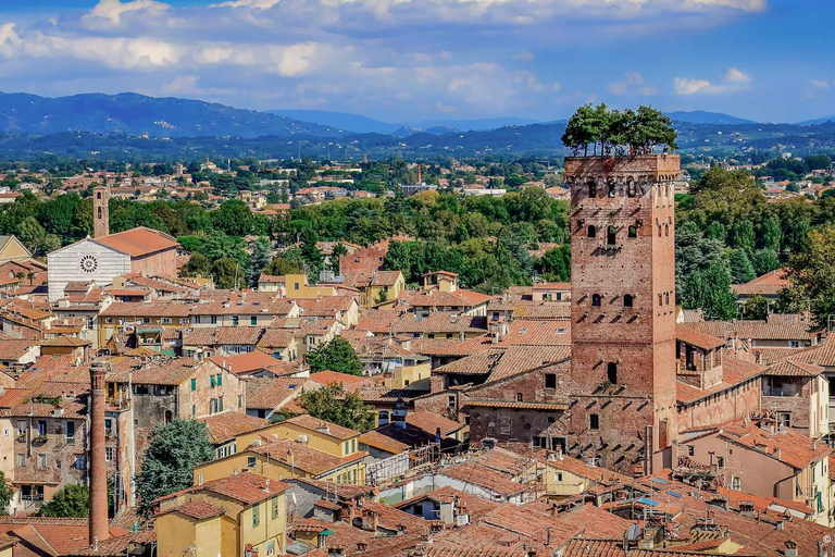 Ab Livorno Kreuzfahrthafen: Bustransfer nach Pisa und LuccaTransfer mit Rundgang in Lucca