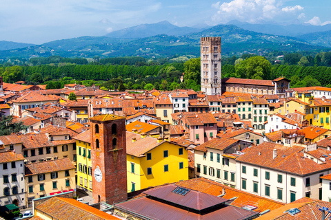 From Livorno Cruise Port: Bus Transfer to Pisa and Lucca Transfer with Walking Tour in Lucca