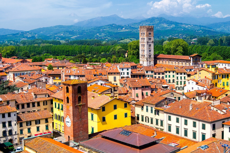 From Livorno Cruise Port: Bus Transfer to Pisa and LuccaClassic Option: Transfer + Walk with a local in Lucca