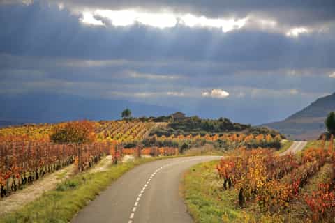 Depuis Bilbao : visite de Vitoria et la Rioja