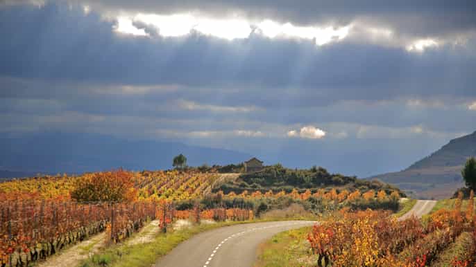 from bilbao vitoria and rioja day tour