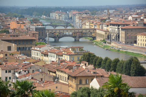 Florenz: Highlights und Accademia-Tour in kleiner GruppePrivates Upgrade