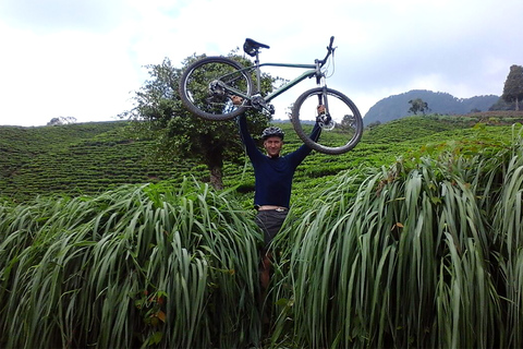 Cali: Mit dem Mountainbike durch die Bergkette