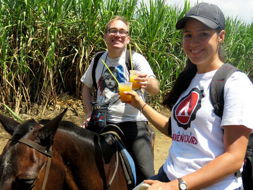 Excursão a pé cultural e histórica de Cali