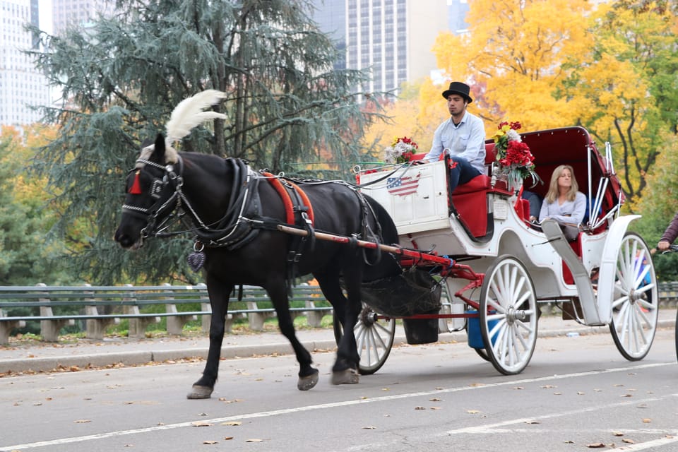 central park carriage ride tour