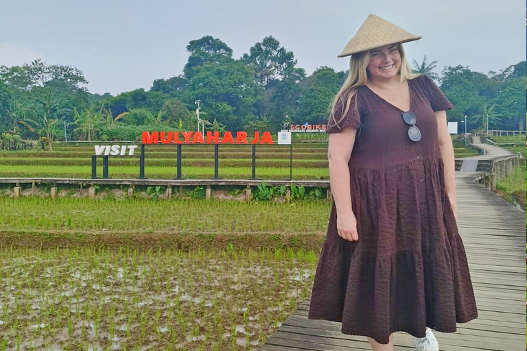 Giardino botanico di Jakarta Bogor, terrazza di riso e cascata