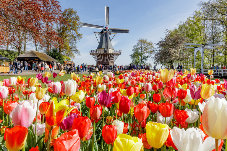 From Amsterdam: Keukenhof and Zaanse Schans Day Trip