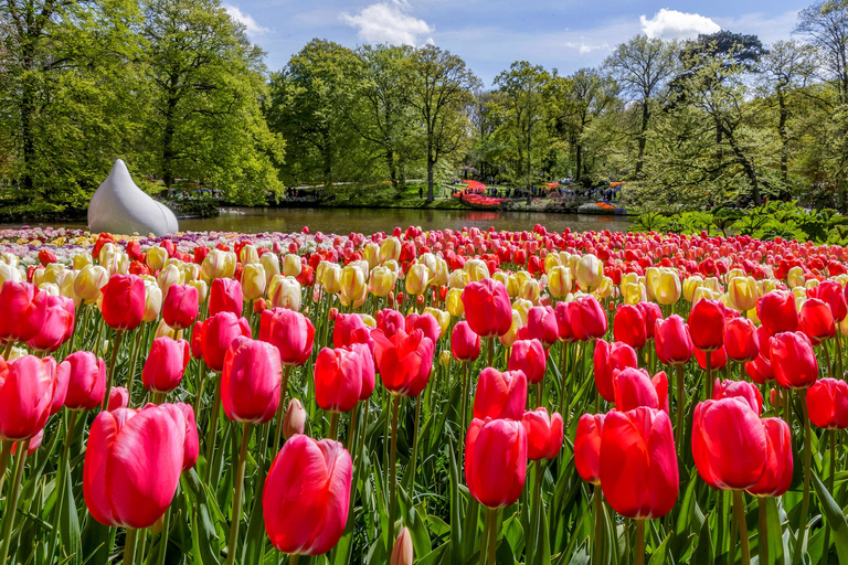 From Amsterdam: Keukenhof and Zaanse Schans Day Trip