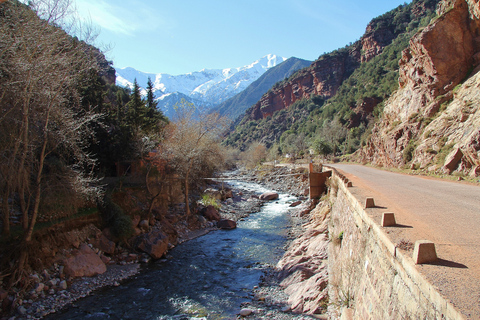 Marrakech: Ourika Valley Day-Trip