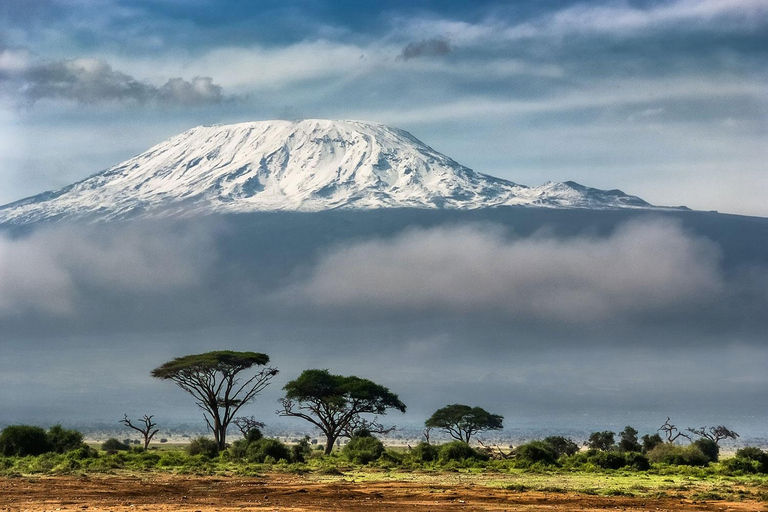 8-tägiges Kilimandscharo-Abenteuer (Machame-Route)