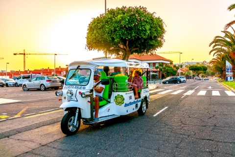 Costa Adeje: tuktuk- en wandeltochtPrivérondleiding