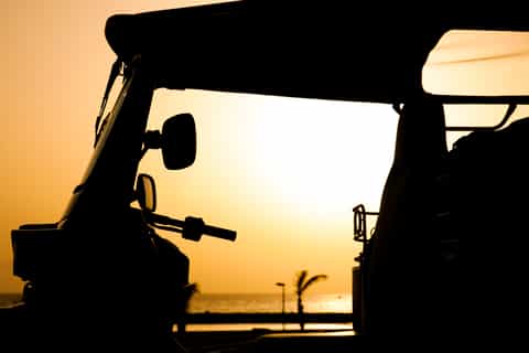 tuk tuk tour of costa adeje and canary farm