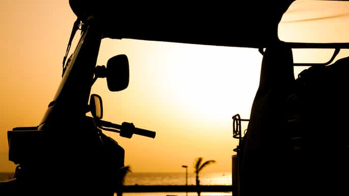 tuk tuk tour of costa adeje and canary farm