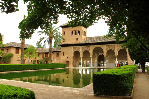 Grenade : visite guidée de l'Alhambra et des jardins du GénéralifeVisite guidée en anglais