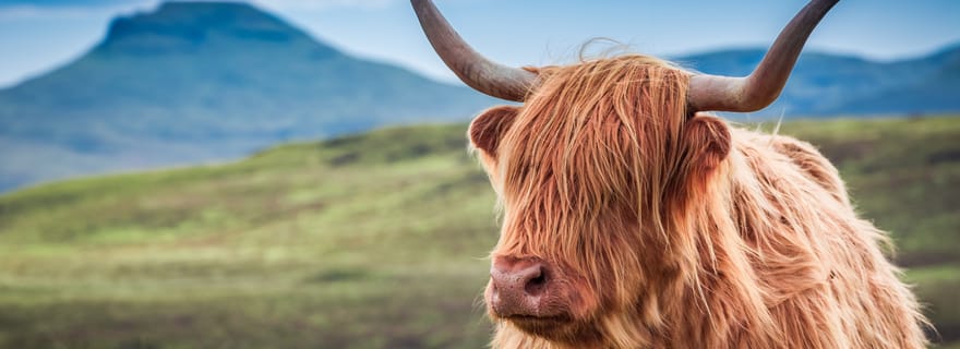 Écosse : circuit « L'esprit des Highlands » au départ d'Inverness