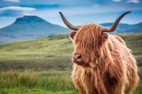Skotlanti: Highlandin kiertueen henki Invernessiltä