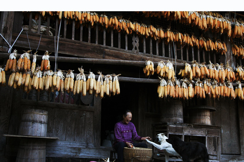 Zhangjiajie: Wycieczka do Góry Siedmiu Gwiazd i wioski Tujia