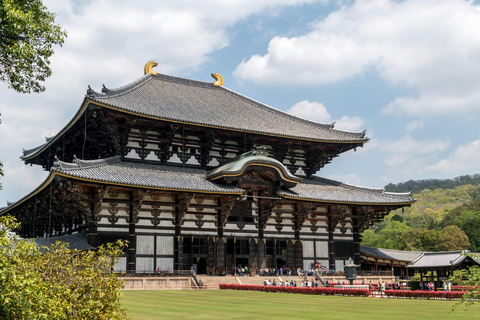 Kyoto & Nara: Fushimi Inari, Sacred Deer & Heritage Tour Group Tour