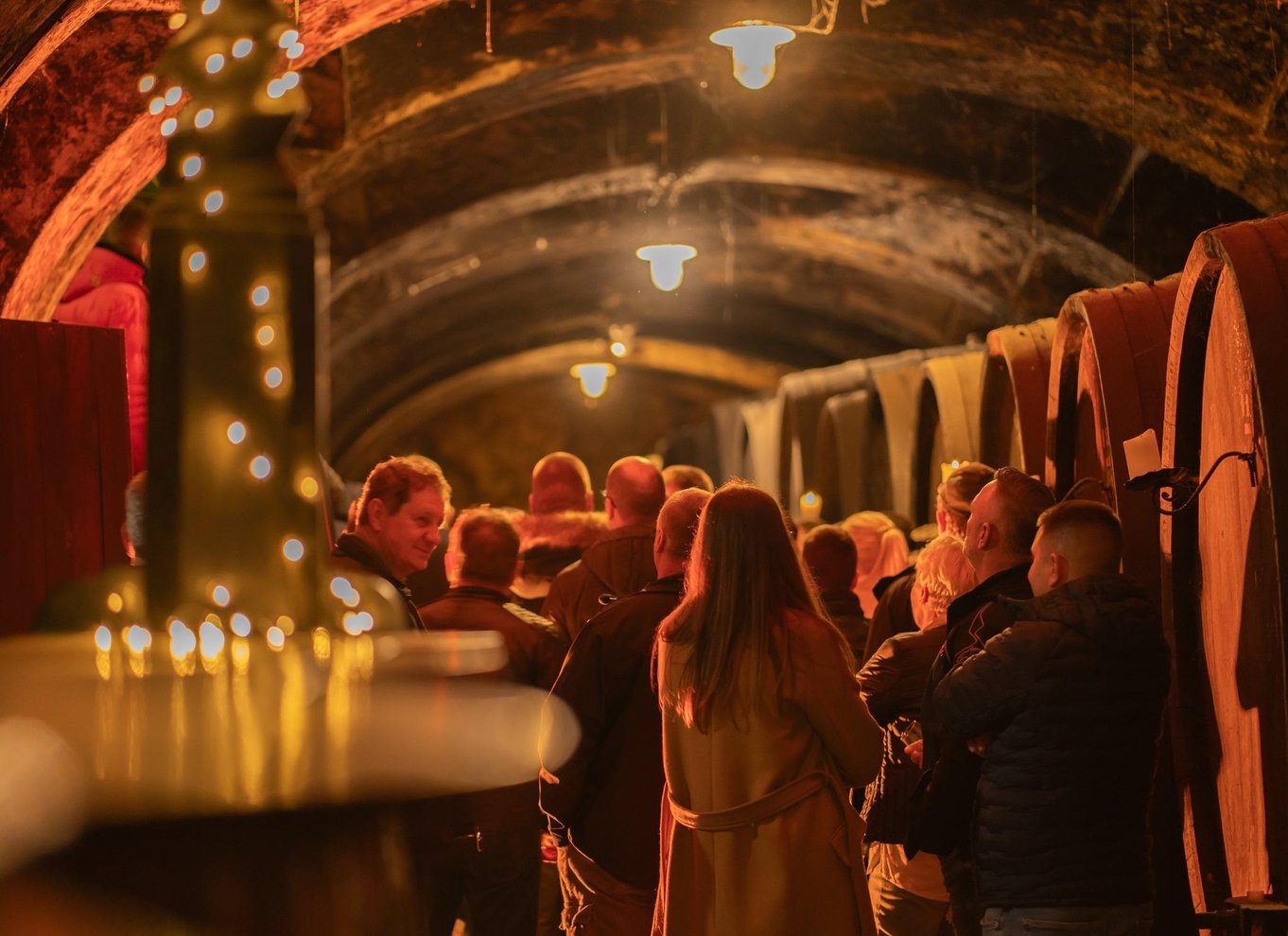 Maribor: Vinag Wine Cellar Tour med vinsmagning og snacks